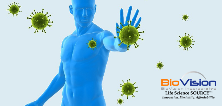 免疫检查点Immune checkpoints —抗体和蛋白
