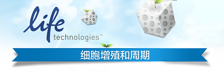 细胞增殖和细胞周期产品