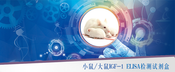 联科ELISA试剂盒推荐:小鼠/大鼠IGF-1检测试剂盒