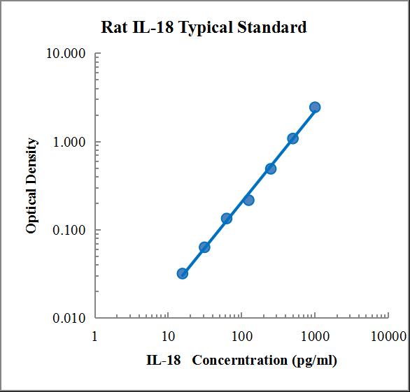 Rat IL-18 ELISA Kit (大鼠白细胞介素18 ELISA试剂盒) - 标准曲线