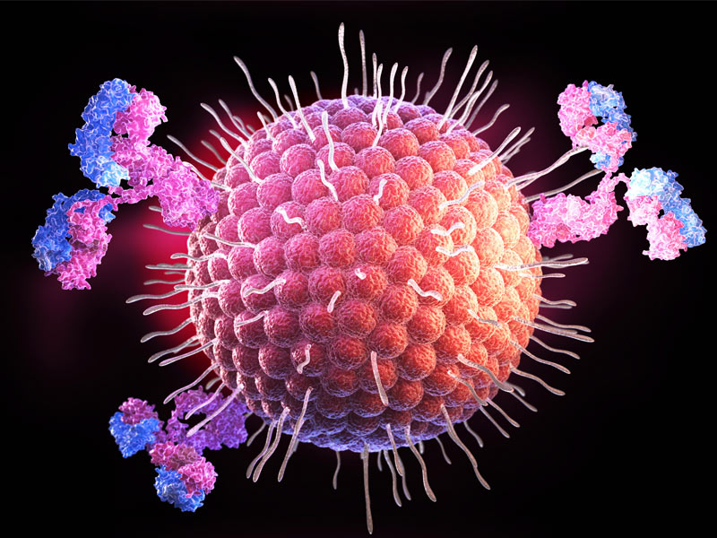 Read more about the article ELISA新品（6）▏Human FGFR2、Total HIF-1α/HIF1A