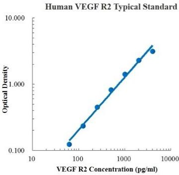 Human VEGF R2/KDR ELISA Kit (人血管内皮生长因子受体2 (VEGF R2) ELISA试剂盒) - 标准曲线