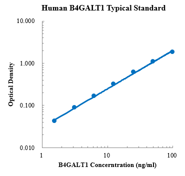 Human B4GALT1/GGTB2 ELISA Kit (人β-1, 4-半乳糖基转移酶1 (B4GALT1) ELISA试剂盒) - 标准曲线