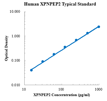 Human XPNPEP2 ELISA Kit (人膜结合的X-脯氨酰氨肽酶2 ELISA试剂盒) - 标准曲线