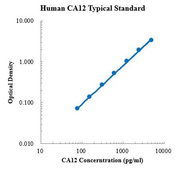 Human Carbonic Anhydrase XII/CA12 ELISA Kit (人碳酸酐酶 ELISA试剂盒) - 标准曲线