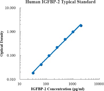 Human IGFBP-2 ELISA Kit (人胰岛素样生长因子结合蛋白 (IGFBP) ELISA试剂盒) - 标准曲线