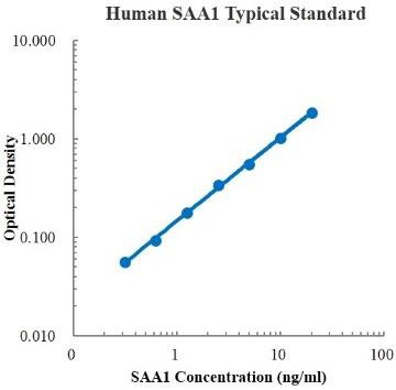 Human Serum Amyloid A1 /SAA1 ELISA Kit (人血清淀粉样蛋白A1 ELISA试剂盒) - 标准曲线
