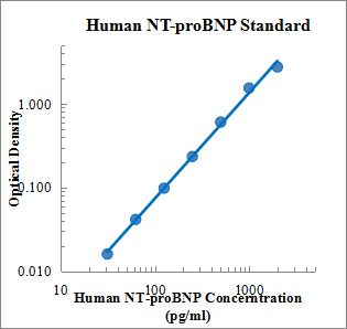 Human NT-proBNP ELISA Kit 检测试剂盒(酶联免疫吸附法) - 标准曲线