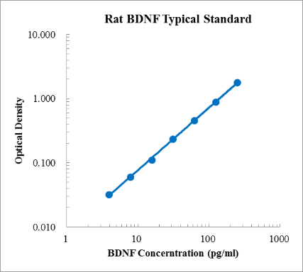 Rat BDNF ELISA Kit (大鼠脑源性神经营养因子 (BDNF) ELISA试剂盒) - 标准曲线