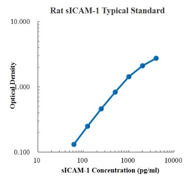 Rat sICAM-1/CD54 ELISA Kit (大鼠细胞间粘附分子1 (ICAM-1) ELISA试剂盒) - 标准曲线