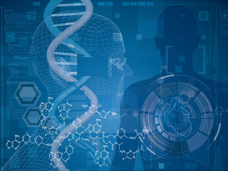 Read more about the article Peprotech分泌蛋白家族R-Spondins