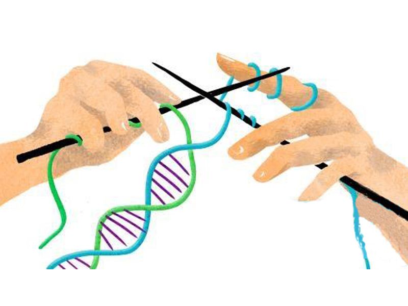 Read more about the article 浅谈基因编辑工具：SpyCas9 系统