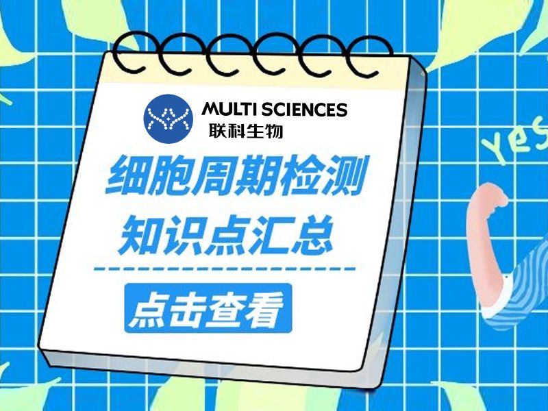 细胞周期检测-知识点汇总