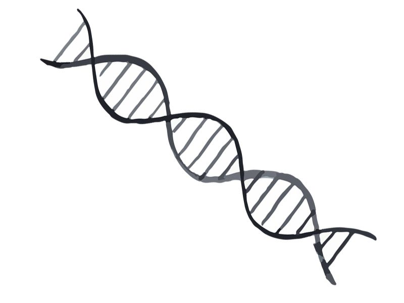 Read more about the article 妈妈的微生物为宝宝大脑发育保驾护航