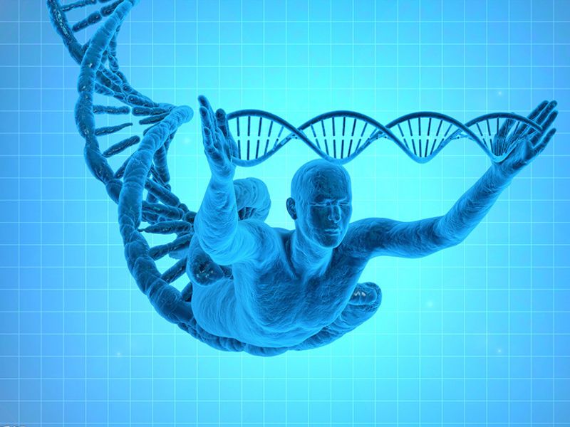 Read more about the article Novus神经生物学研究：亨廷顿氏舞蹈症
